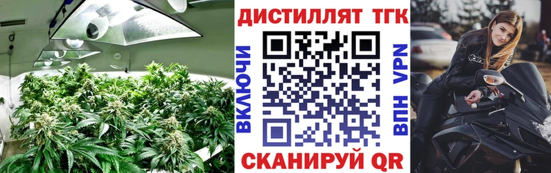 Дистиллят ТГК жижа  продажа наркотиков  Ветлуга 